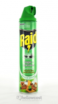 Raid Insectes Volants Interieur Spray 600 ml - Hellowcost