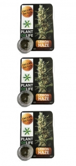 Cbd Plant Of Life Critical 1 Gr Lot De 3 - Hellowcost