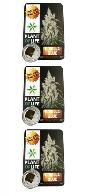 Cbd Plant Of Life Corilla Glue 1 Gr Lot De 3