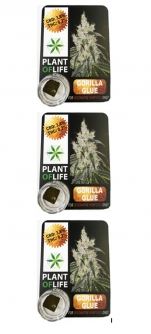 Cbd Plant Of Life Chokoloko 1 Gr Lot De 3 - Hellowcost