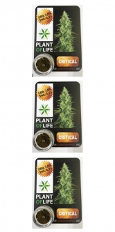 Cbd Plant Of Life Corilla Glue 1 Gr Lot De 3 - Hellowcost