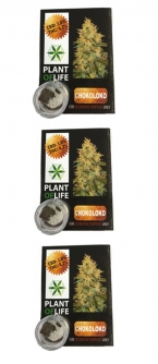 Cbd Plant Of Life Amnesia 1 Gr Lot De 3 - Hellowcost