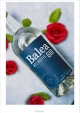 Balea Atlantic Gin Biarriz Pays Basque 40% 70 cl